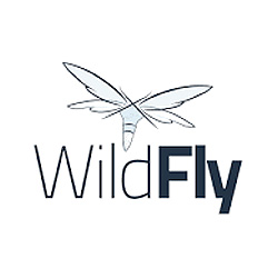 Wildfly Application Performance Monitor, FusionReactor